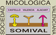 Logo SOMIVAL