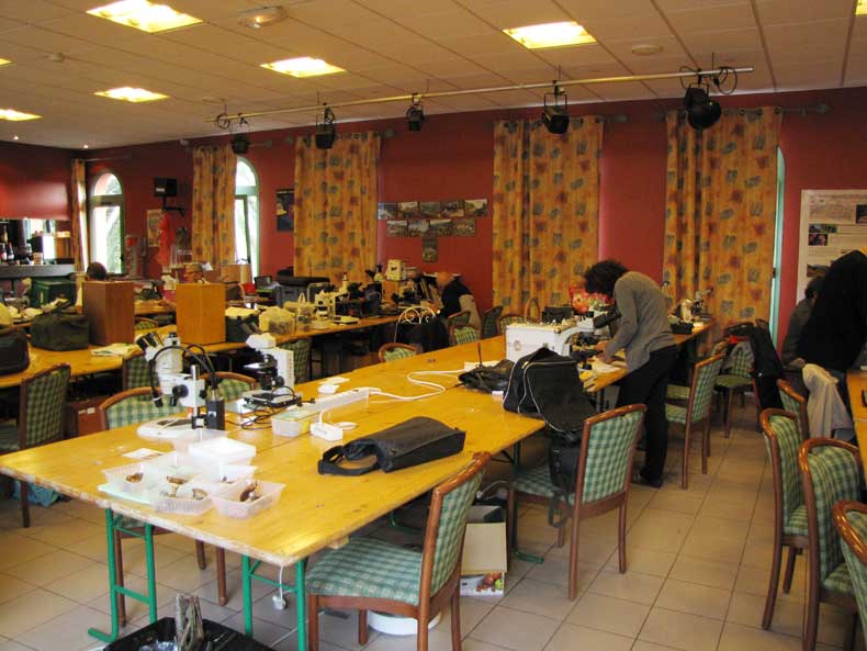 Sala de microscopios